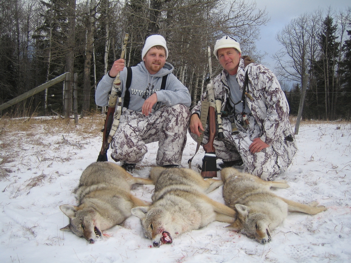 Coyote Hunting Alberta 